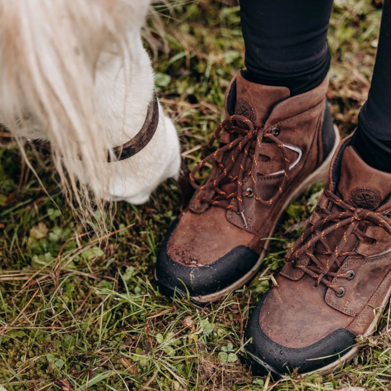 Outdoorschuh Field Lace GripFTX Stiefelette