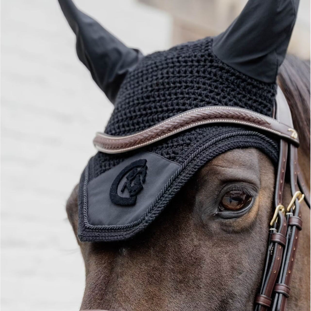 Dy'on Stirnriemen Geflochten V-förmig Stirnband, Schwarz, Pferd mit Stirnband am Kopf.
