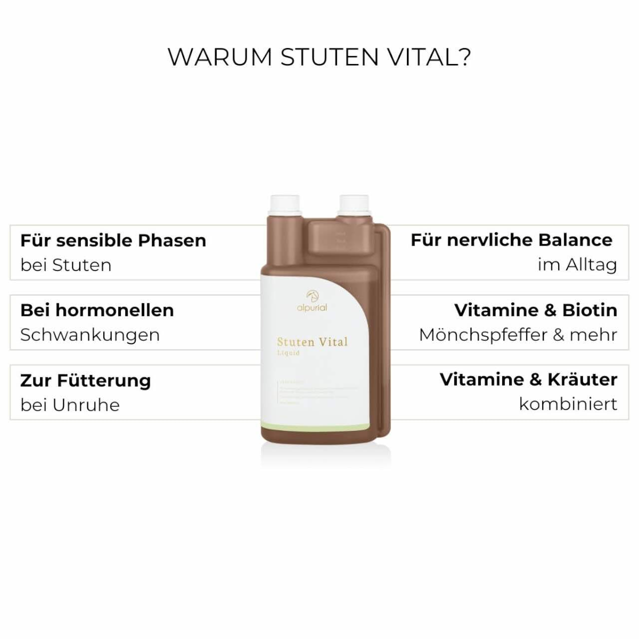 Stuten Vital Zusatzfutter Ergänzungsfuttermittel