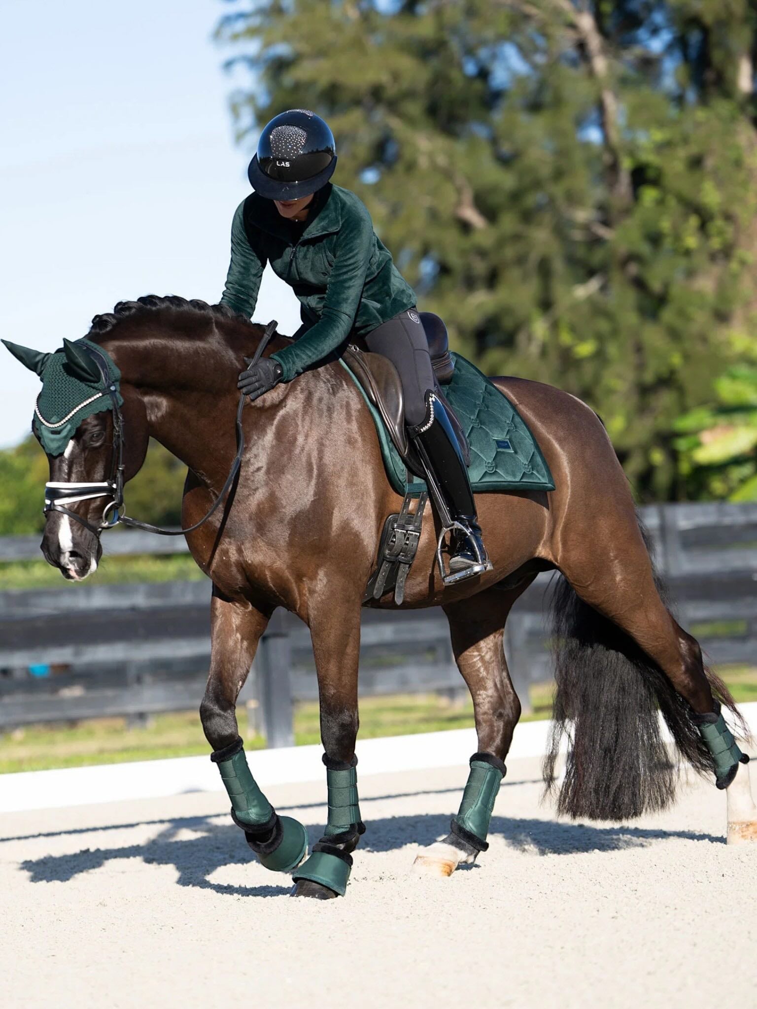 Hufglocken Sycamore Green Hufschutz