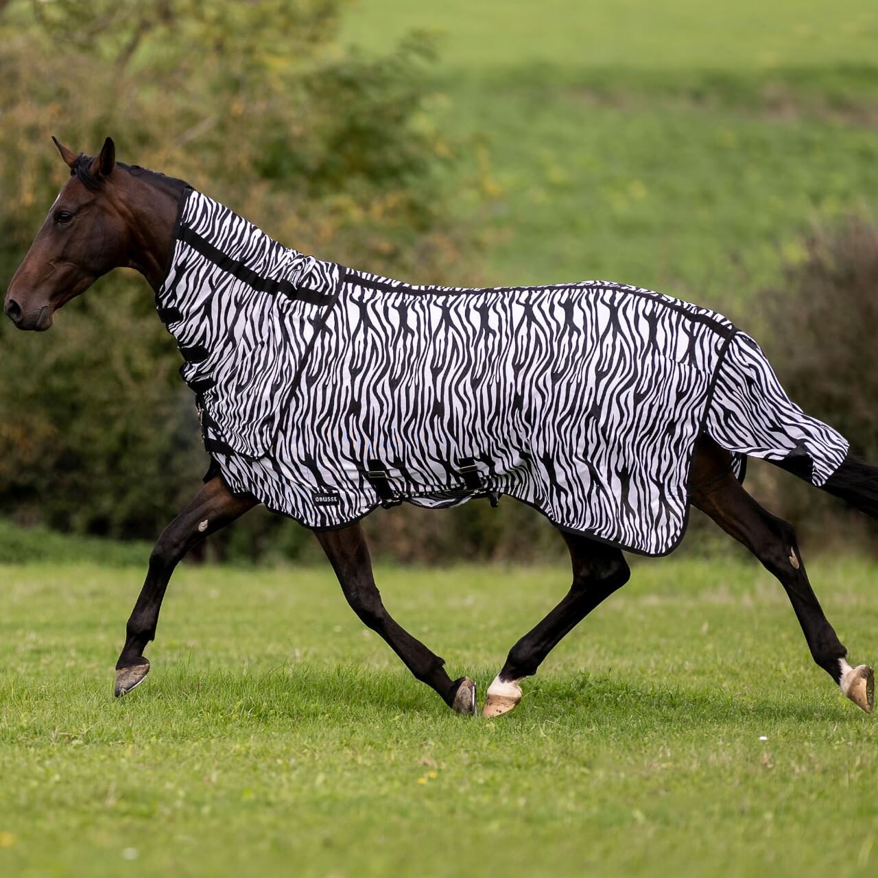 Outdoor-Fliegendecke Comfort Flexi Zebra Decke