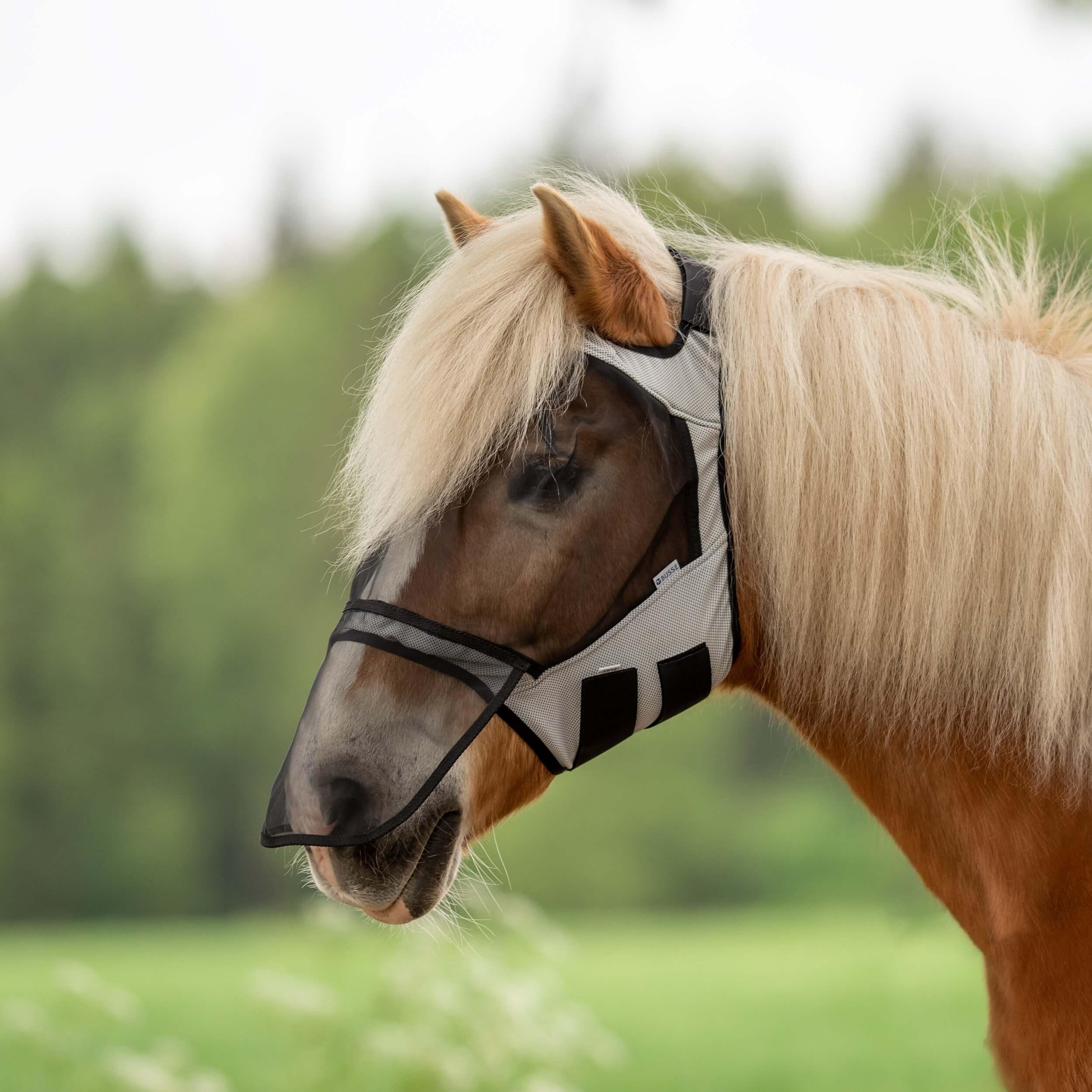 Fliegenmaske Fly Guard Free Plus Fliegenhaube Insektenschutz