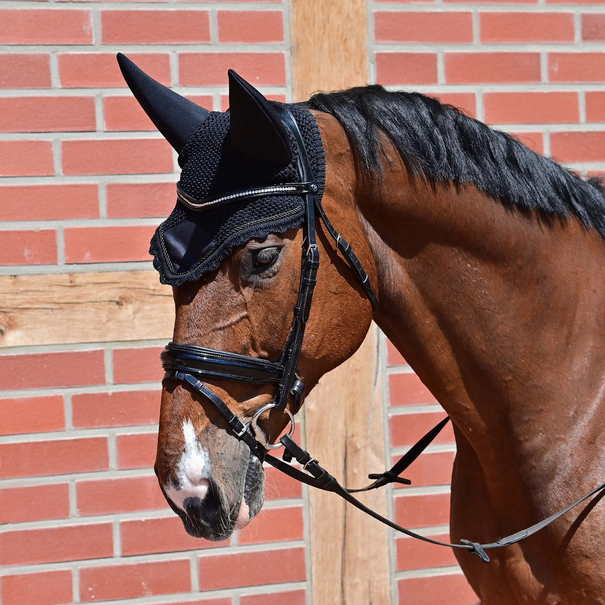 Fliegenmütze Calm II Fliegenhaube, Schwarz, Pferd trägt die Fliegenhaube mit Trense.