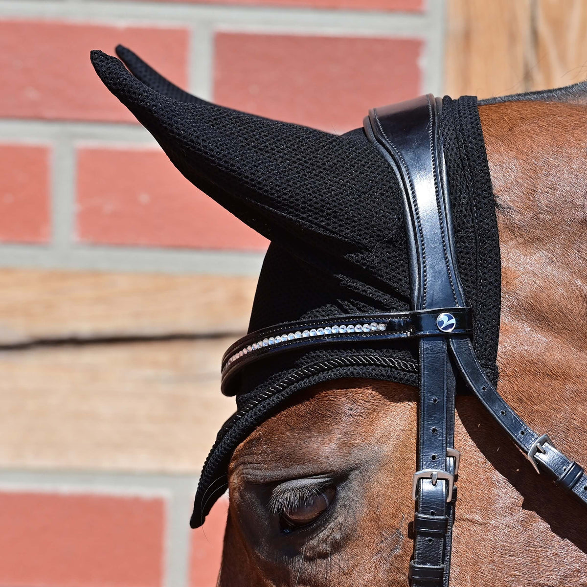 Fliegenmütze Fly Air Fliegenhaube, Schwarz, am Pferdekopf getragen.