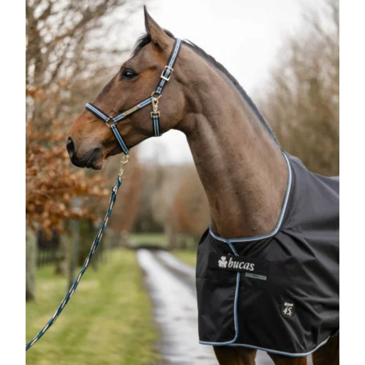 Outdoordecke 0g Anniversary Turnout Light SD Regendecke