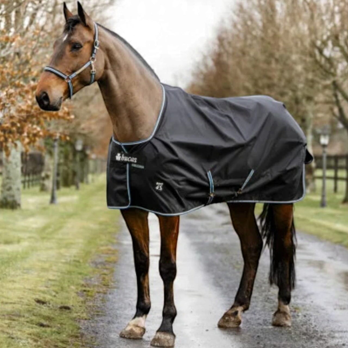 Outdoordecke 100g Anniversary Turnout SD Weidedecke