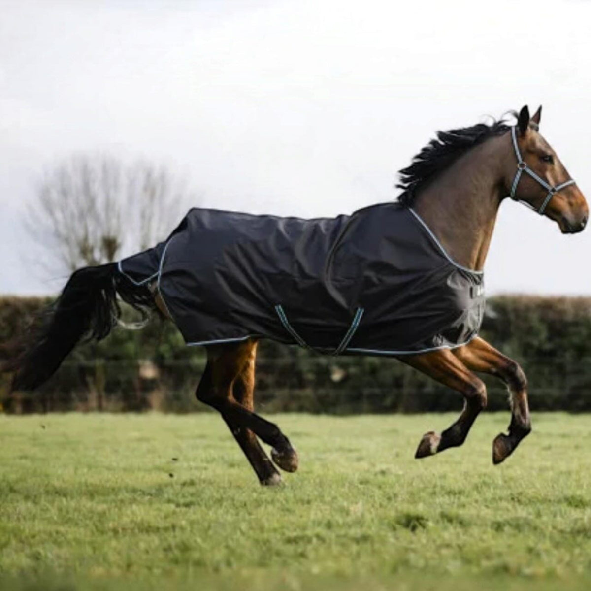 Outdoordecke 100g Anniversary Turnout SD Weidedecke
