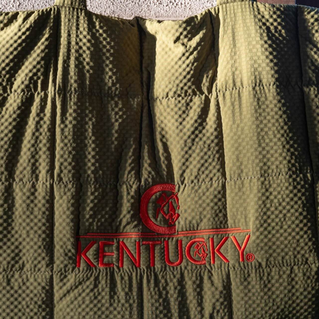 Tragetasche Gepolstert Kentucky Logo Tasche