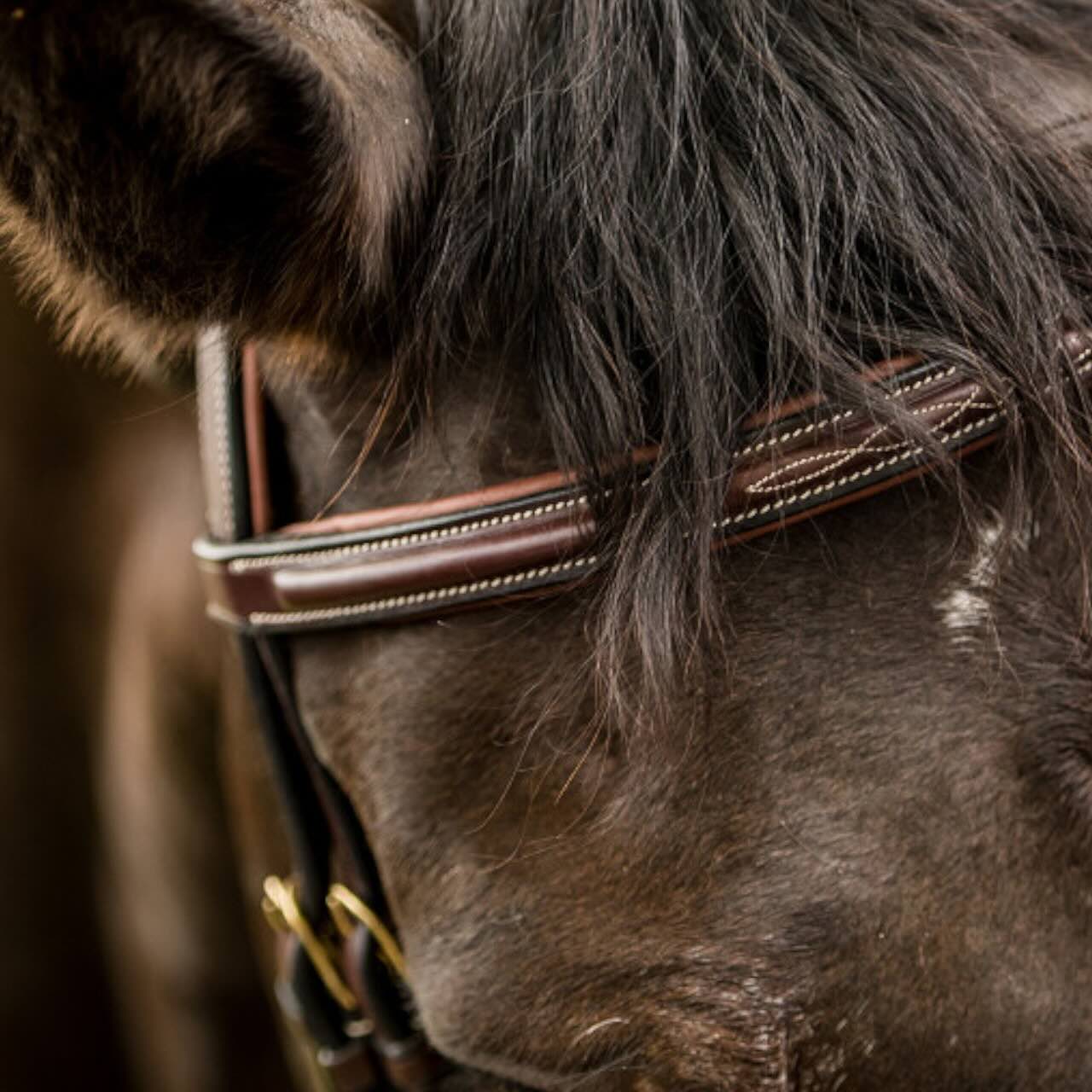 Trense Calgary Englisch kombiniert Trensenzaum