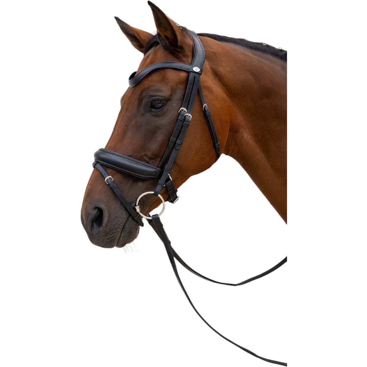 Trense mit kombiniertem Reithalfter Medium Soft Leather Collection Trensenzaum
