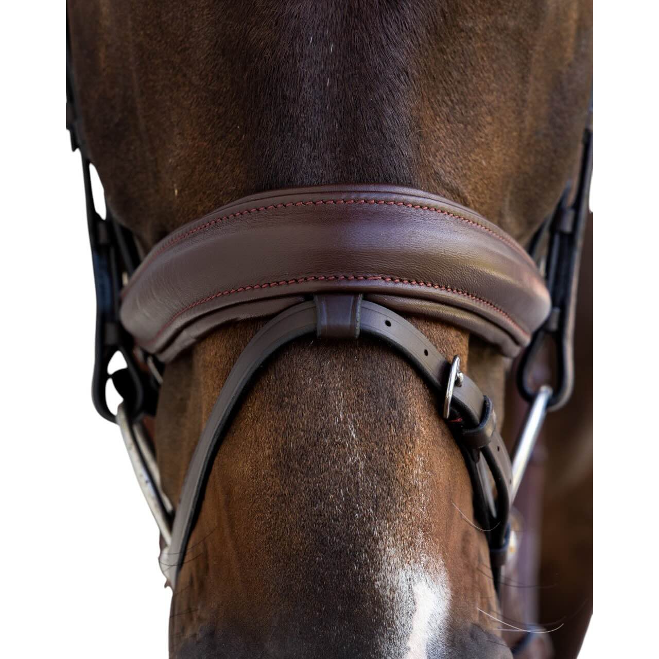 Trense mit kombiniertem Reithalfter Medium Soft Leather Collection Trensenzaum