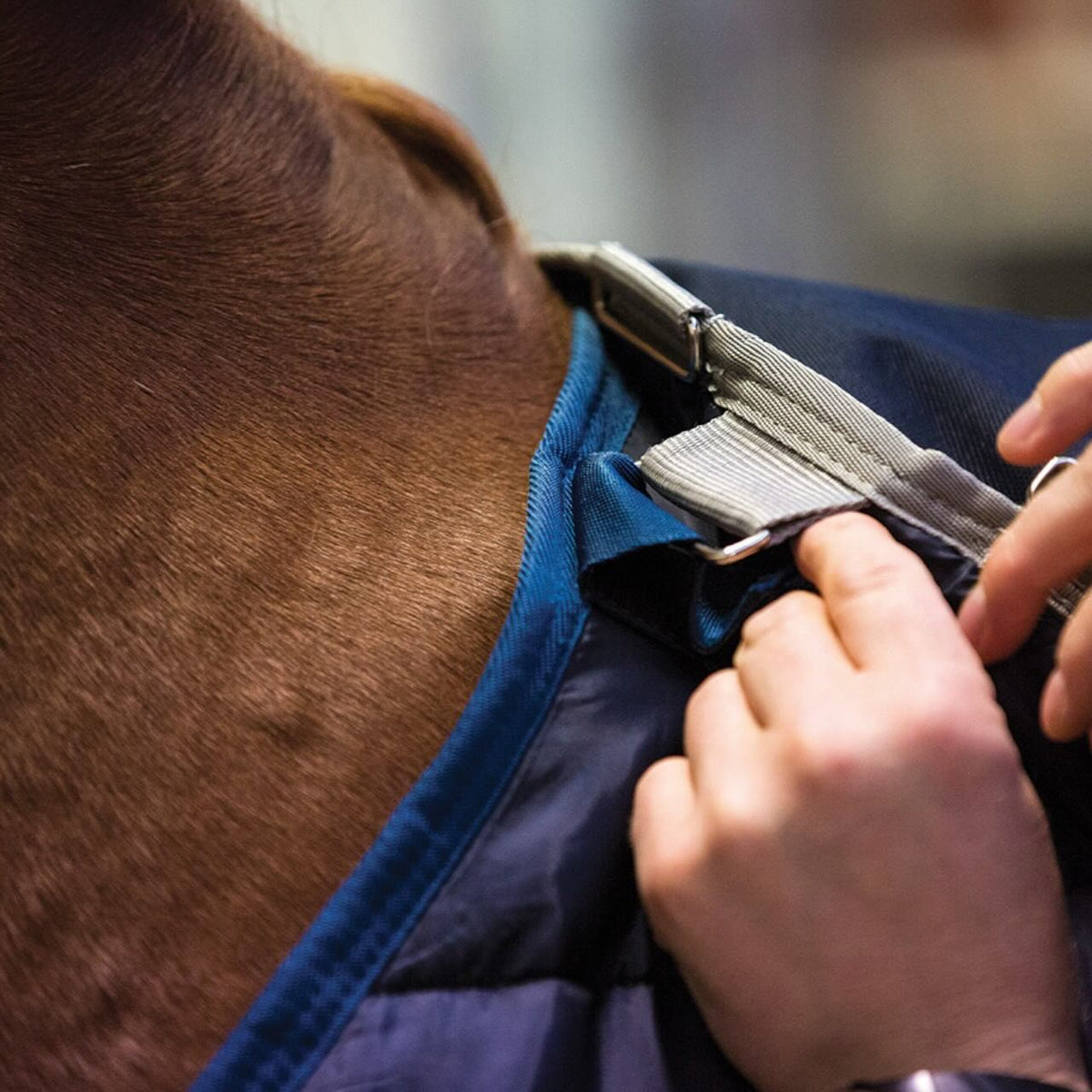 Horseware Ireland Unterdecke 100g Liner, Blau, Detailaufnahme am Pferd mit Befestigung durch Hände.