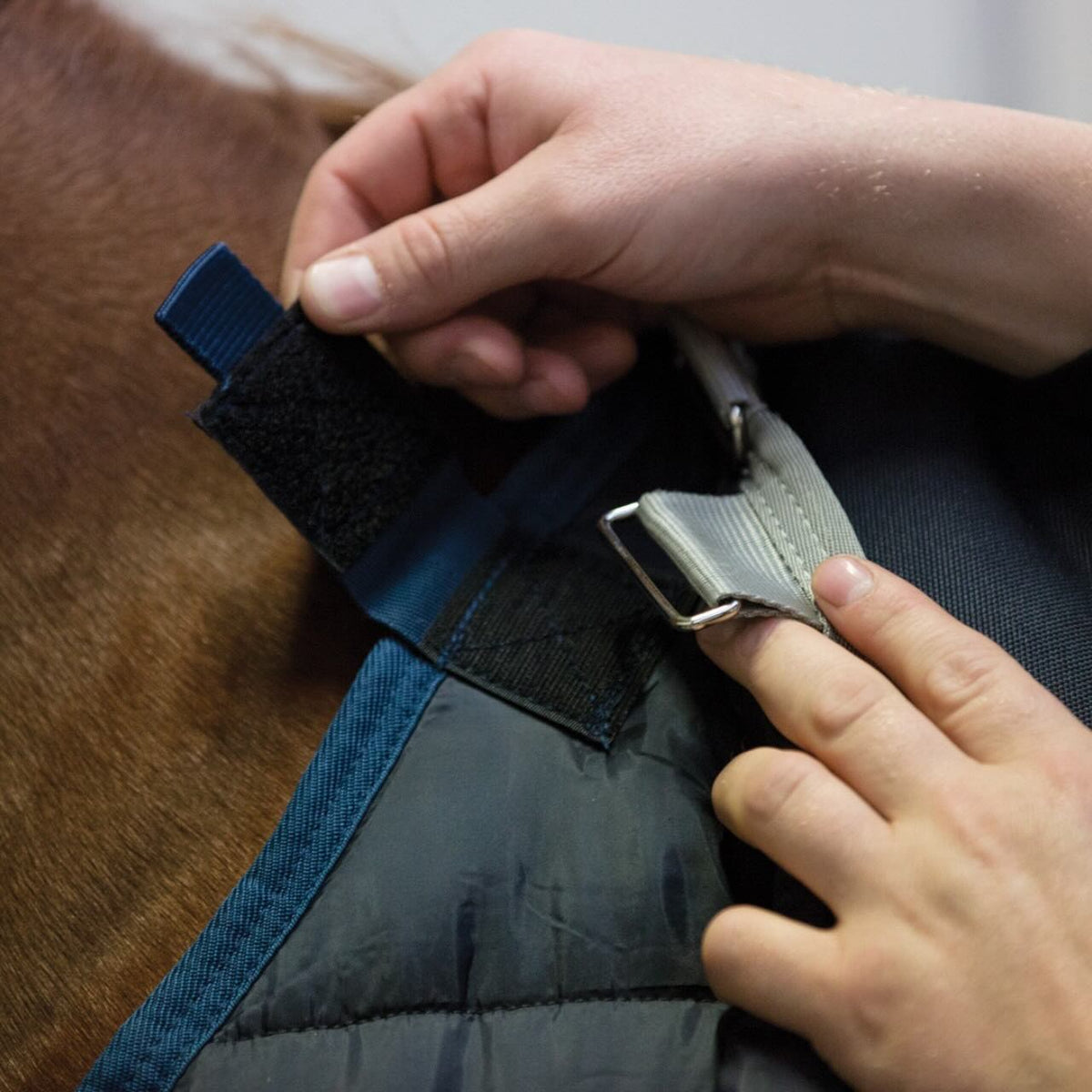 Horseware Ireland Unterdecke 100g Liner, Detailaufnahme der Befestigung am Pferd.