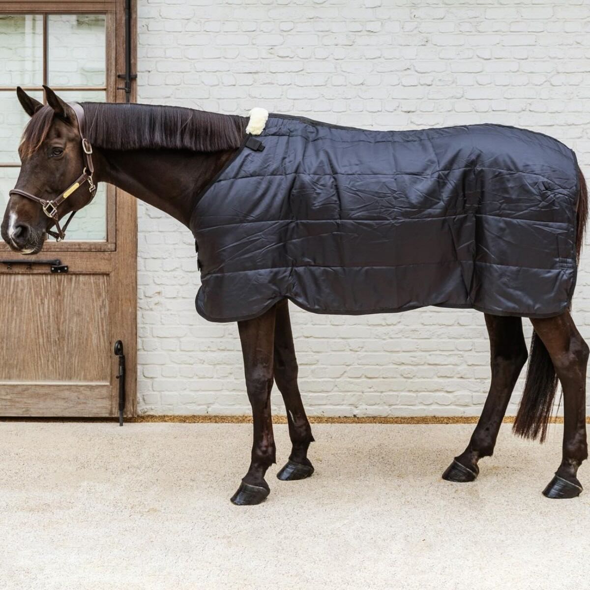 Unterdecke 200g Comfort Liner Turnout Rug