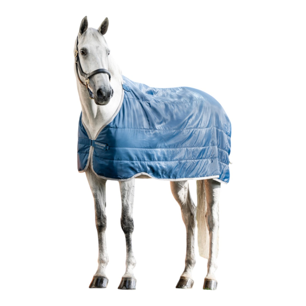 Horseware Ireland Unterdecke Ionic Therapy Liner, 200 g, Imperial Blue/Silver & Navy, Pferd trägt die Unterdecke.