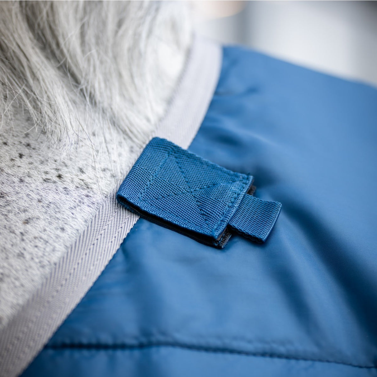 Horseware Ireland Unterdecke Ionic Therapy Liner, 200 g, Blau, Detailaufnahme am Pferd.