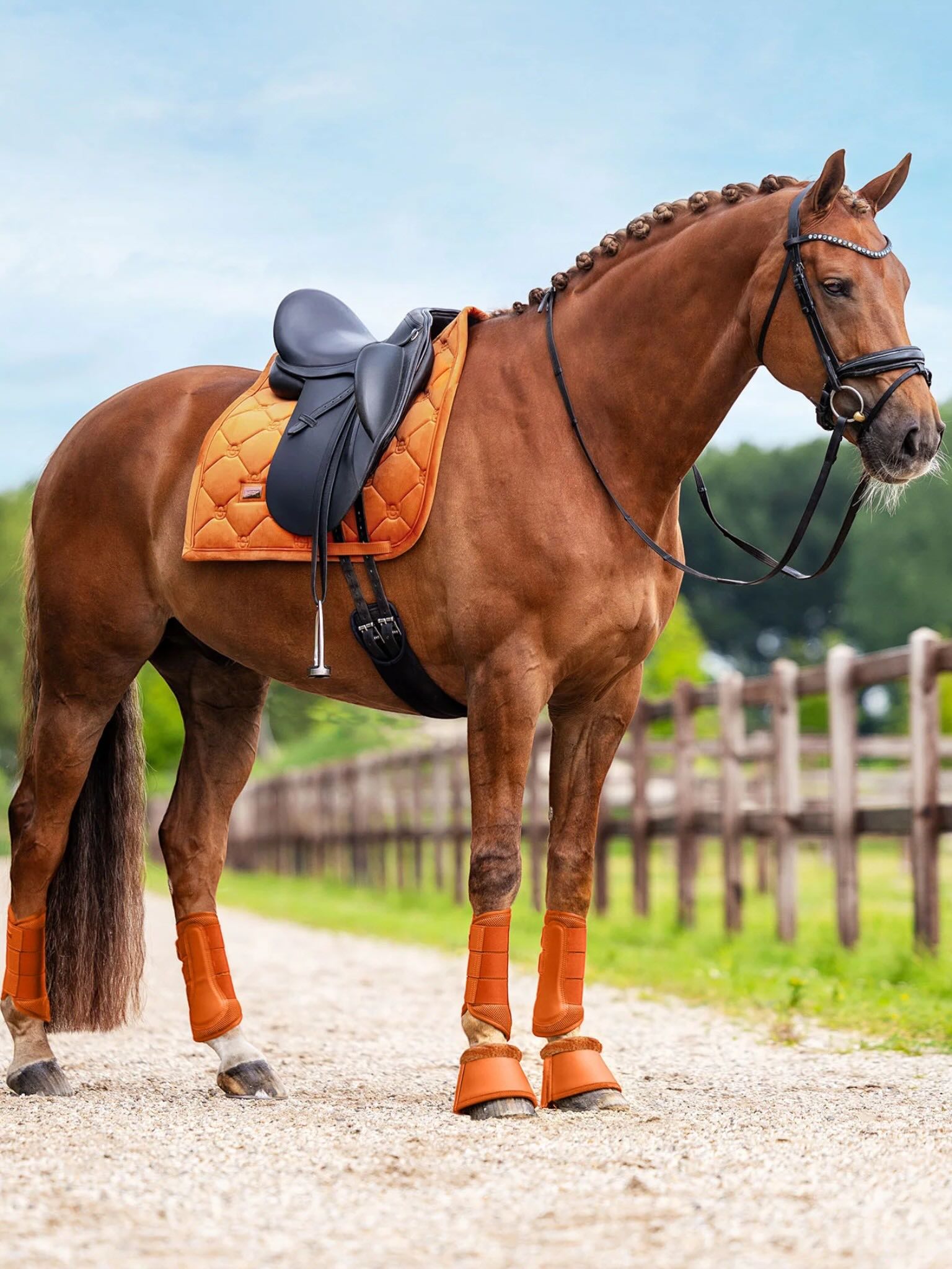 Hufglocken Chestnut Hufschutz