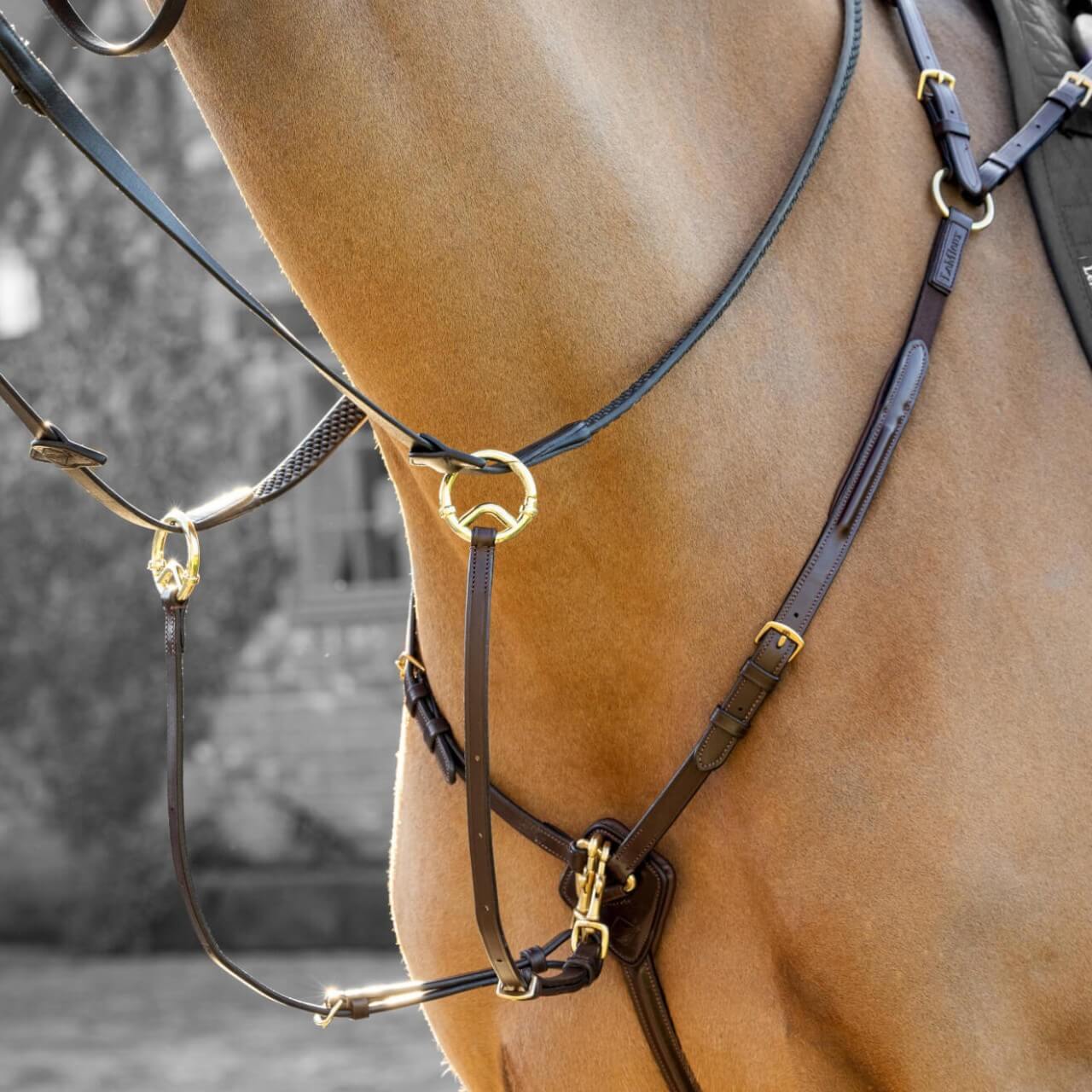 Vorderzeug LM Breastplate Classic