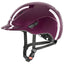 Burgundy Shiny