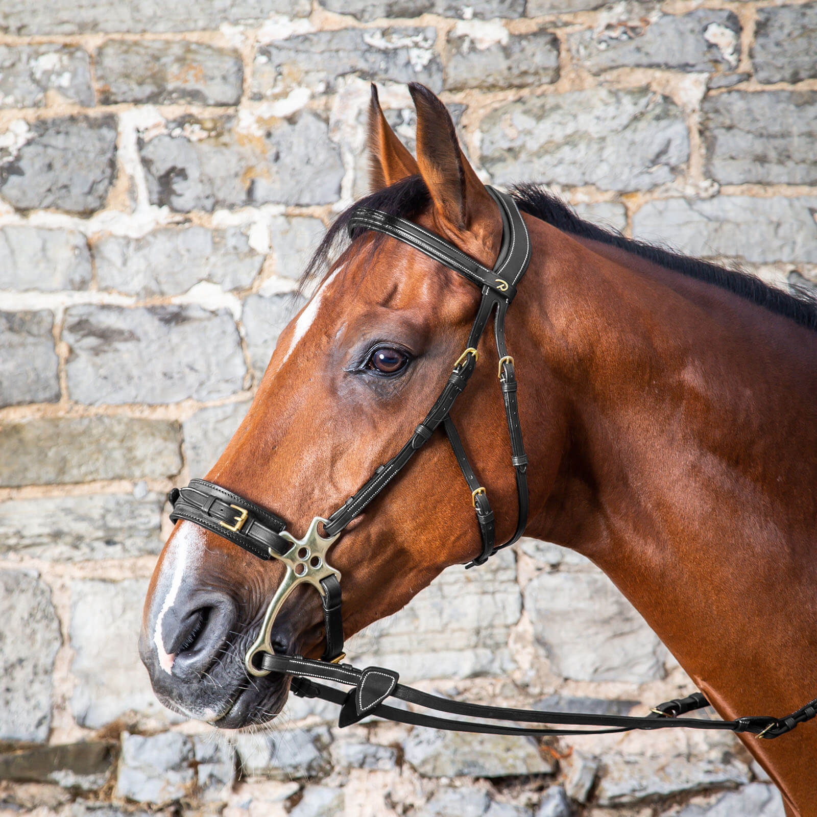 Hackamore Zaum D Collection Trensenzaum