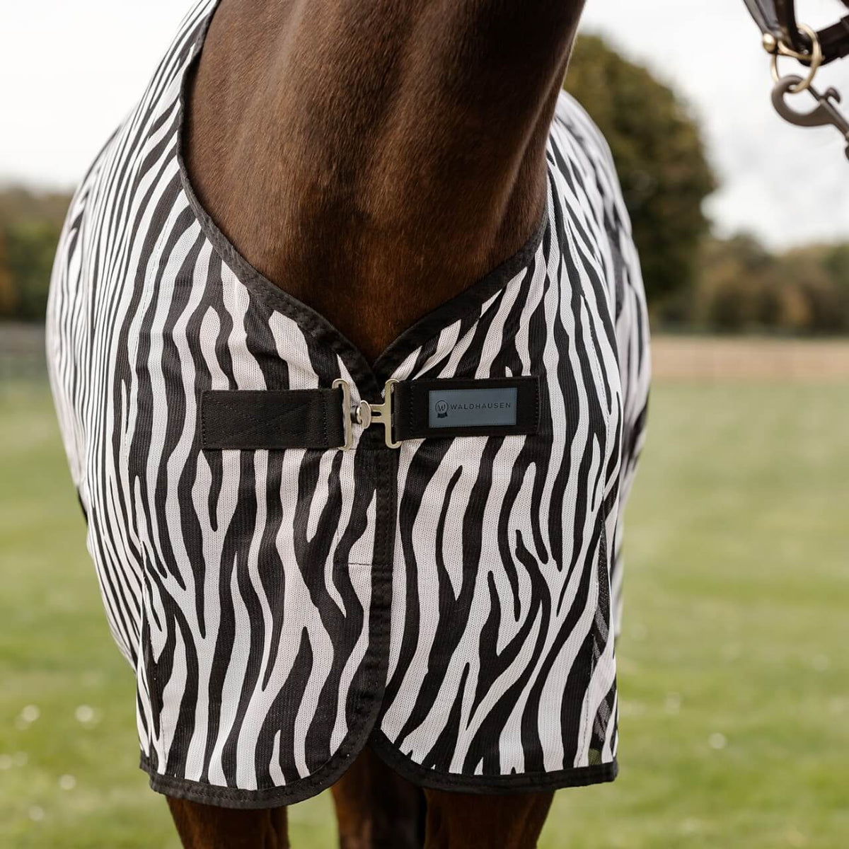 Fliegendecke Zebra mit Kreuzgurten Fliegenschutz