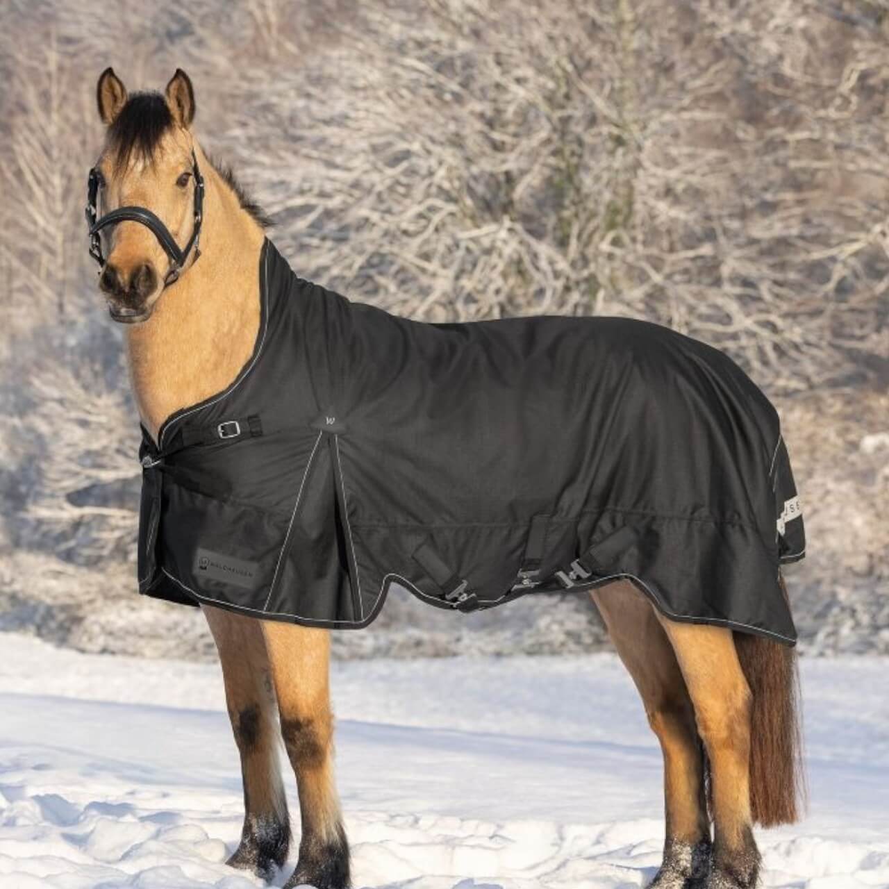 Outdoordecke 0g Light High Neck Scandic Regendecke