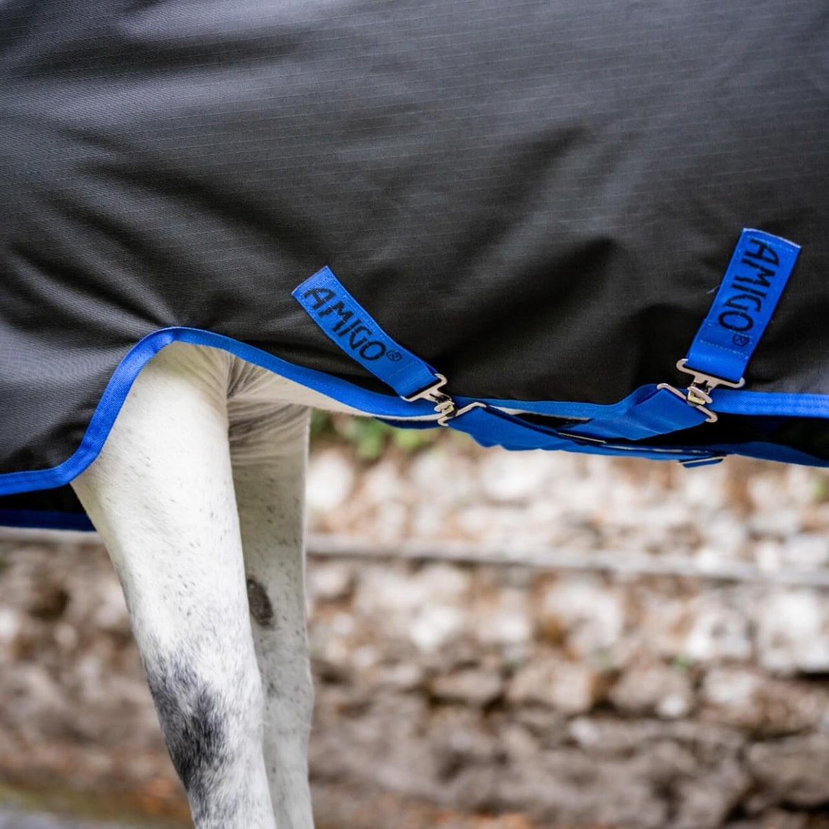 Horseware Ireland Weidedecke 100g Amigo Ripstop 900D Turnout Decke, Schwarz, Detailaufnahme am Pferd.