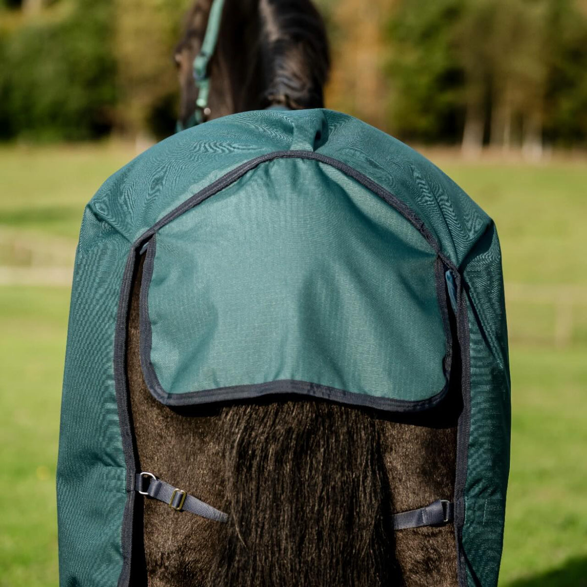Weidedecke 100g Amigo Ripstop 900D Turnout Decke, dunkeltürkis, am Pferd getragen.