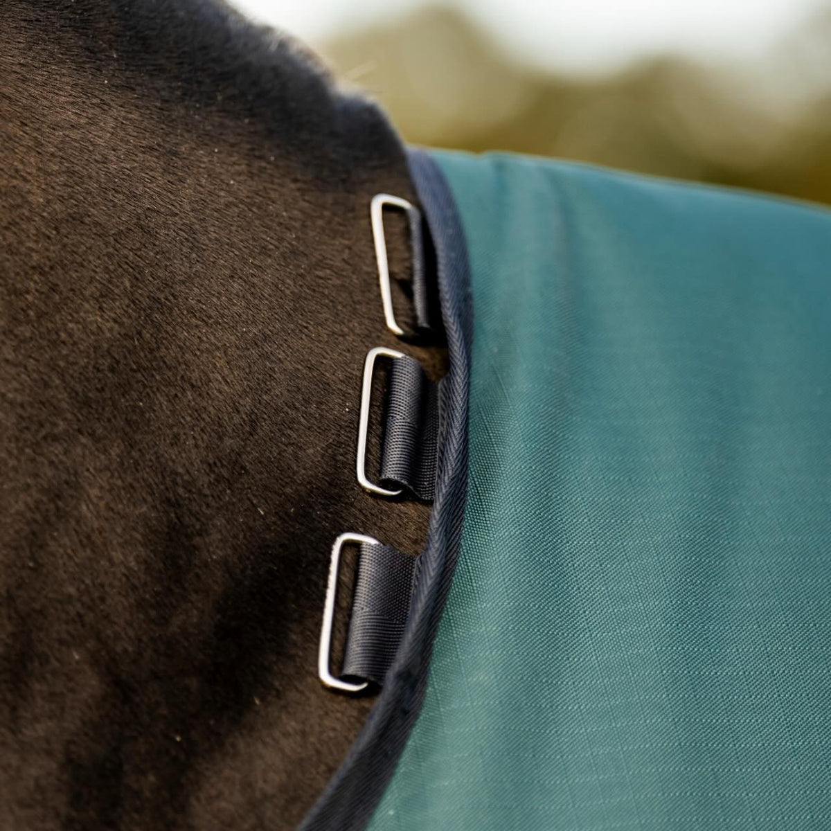 Weidedecke 100g Amigo Ripstop 900D Turnout Decke, Detailaufnahme am Pferd.
