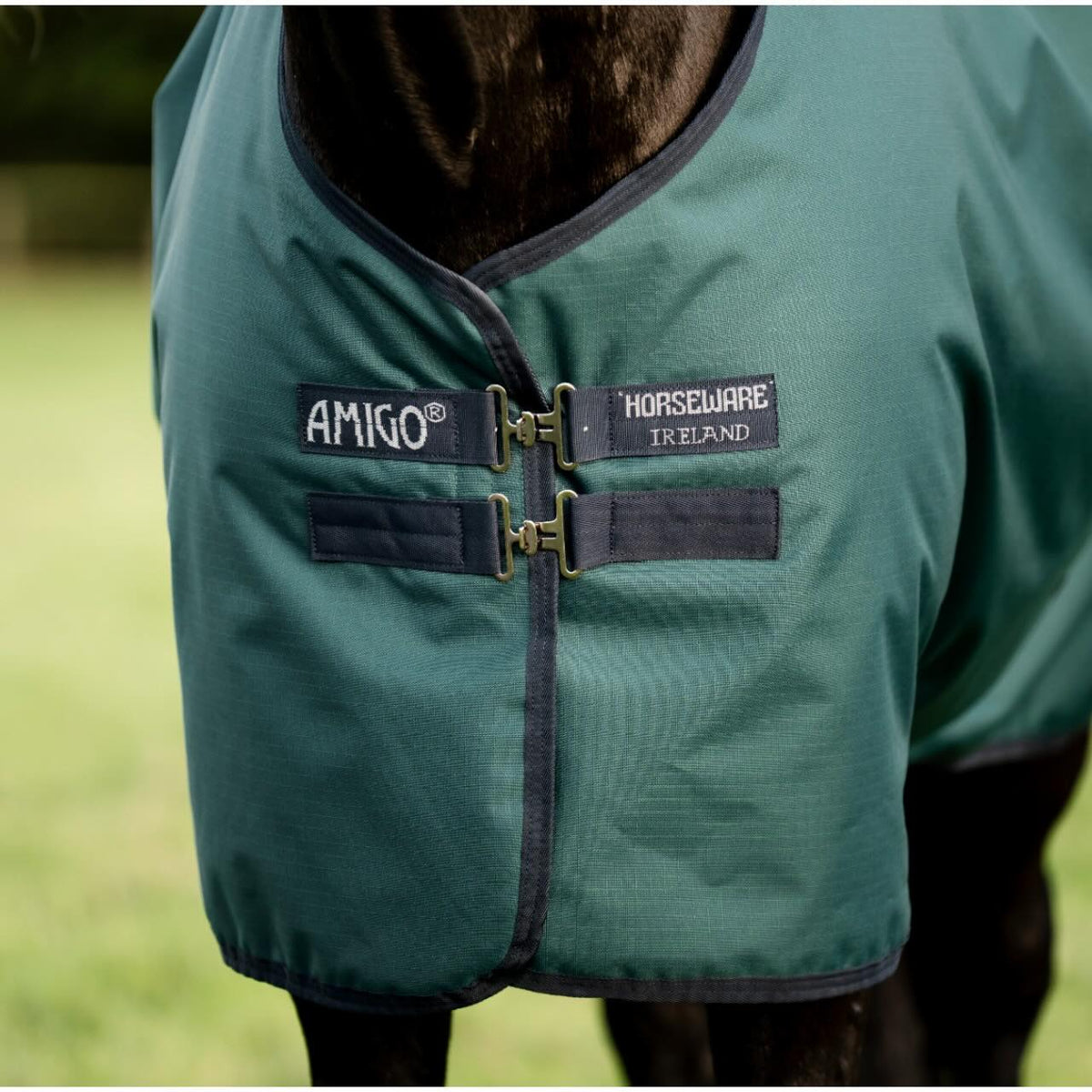 Horseware Ireland Weidedecke 100g Amigo Ripstop 900D Turnout Decke, Grün, Pferd trägt die Decke.