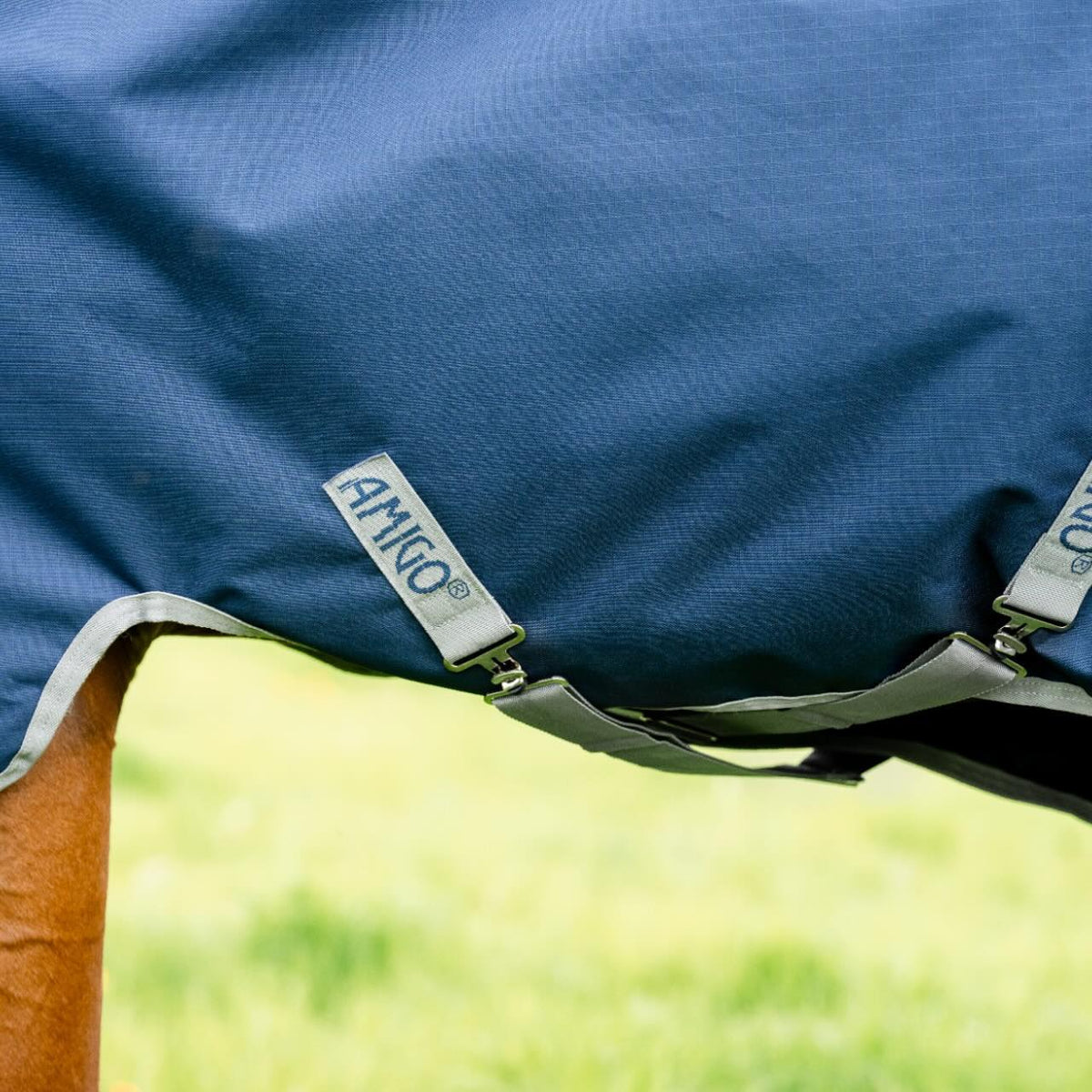 Horseware Ireland Weidedecke 100g Amigo Ripstop 900D Turnout Decke, Blau, Pferd trägt die Decke.