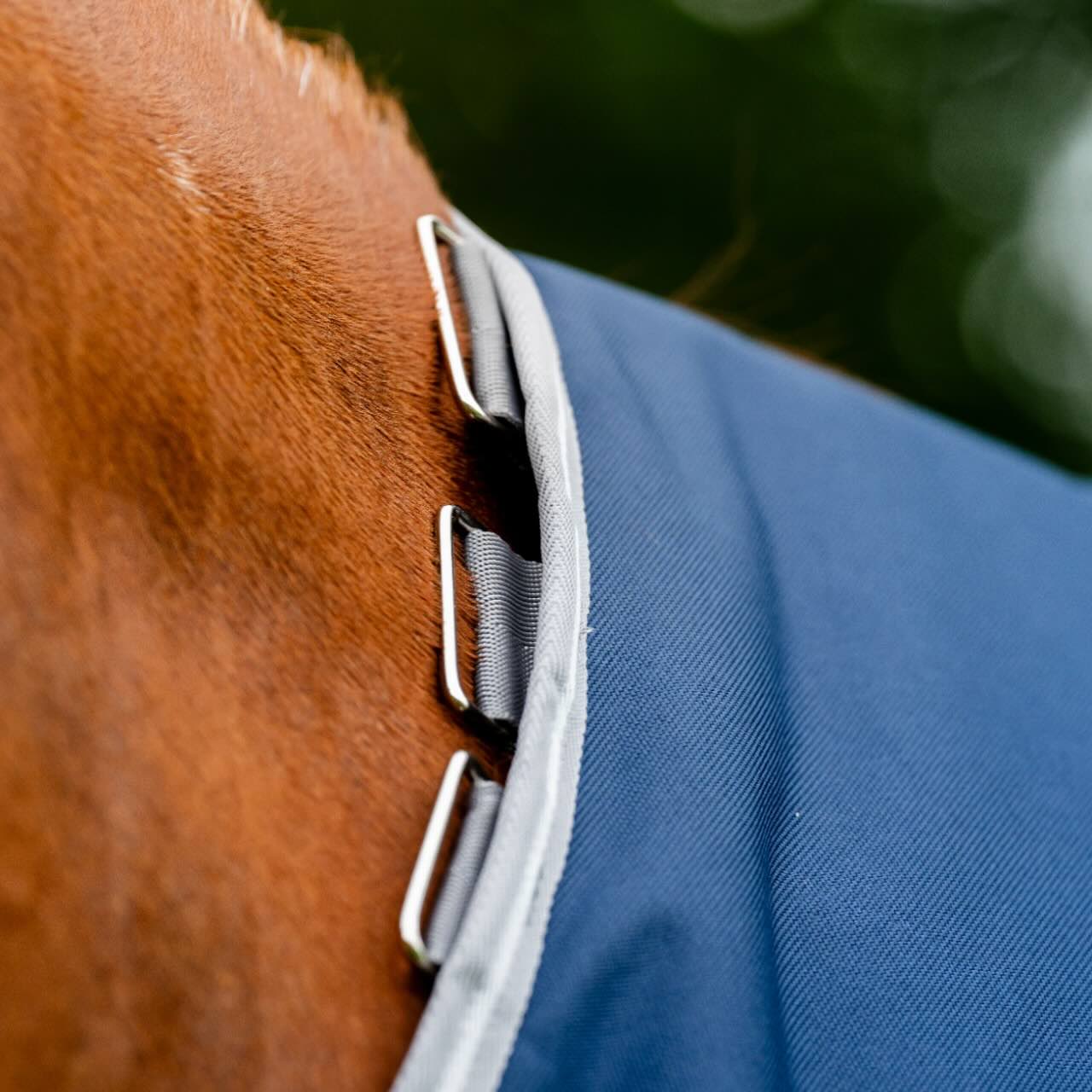 Weidedecke Amigo 100g 1200D Turnout Decke