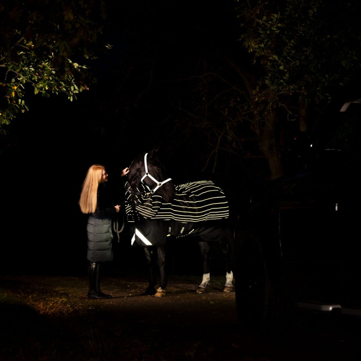 Horseware Ireland Weidedecke Amigo 0g 1200D Field Safe Reflectech Plus Turnout Decke, mehrfach sichtbar, Pferd mit Decke bei Nacht.