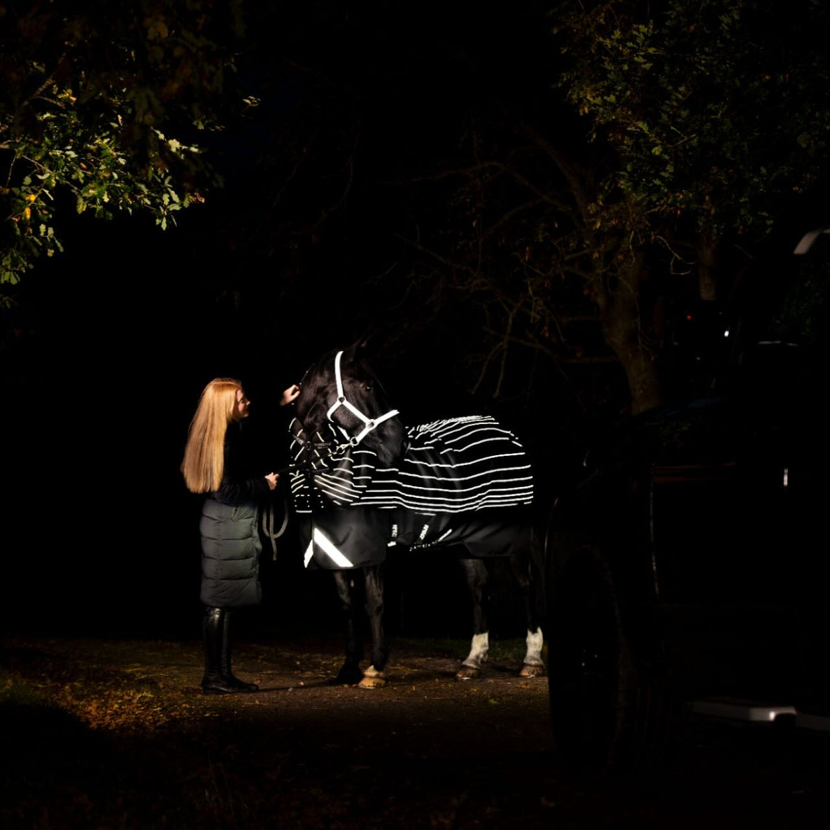 Horseware Ireland Weidedecke Amigo 0g 1200D Field Safe Reflectech Plus Turnout Decke, mehrere Farbvarianten, am Pferd im Dunkeln.