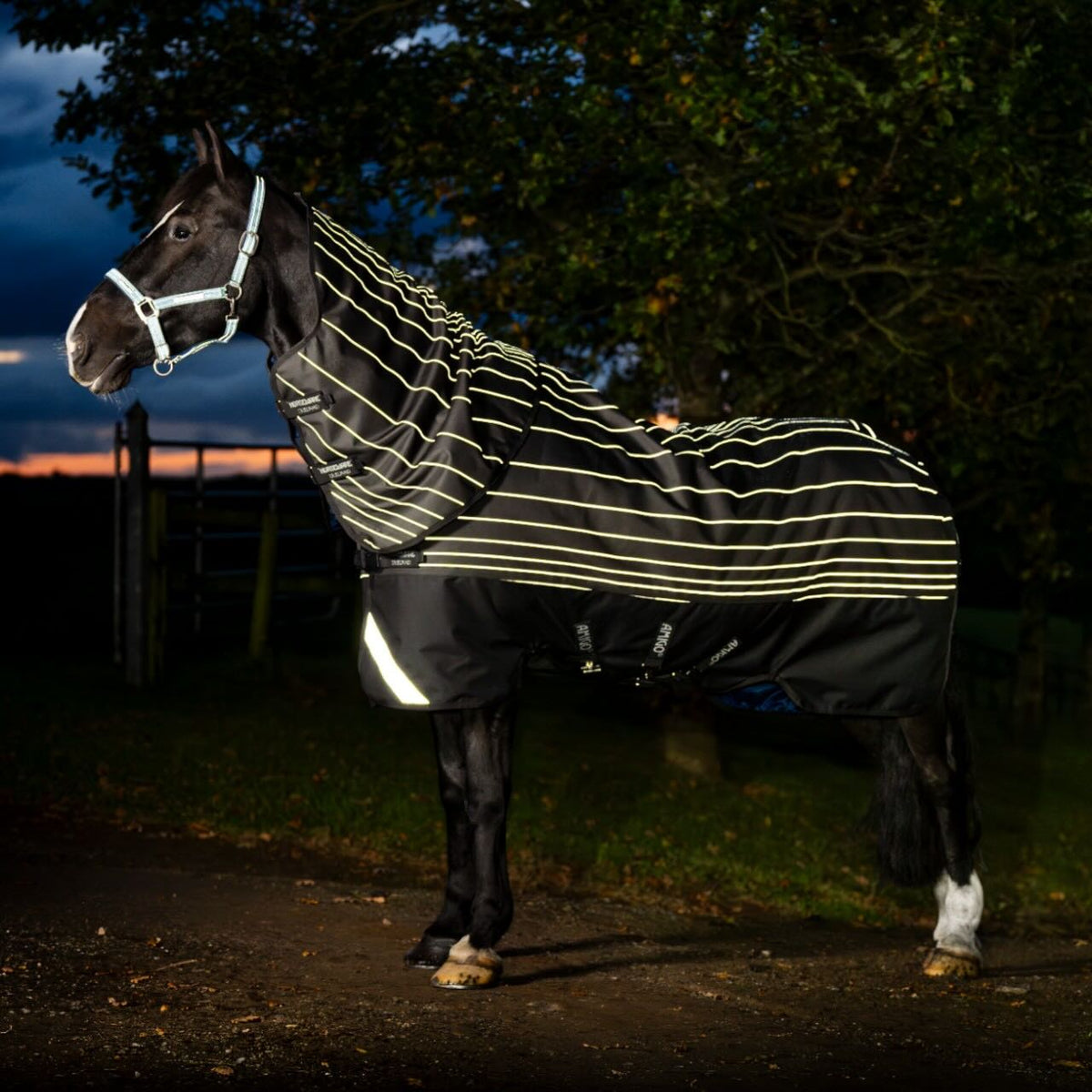 Horseware Ireland Weidedecke Amigo 0g 1200D Field Safe Reflectech Plus Turnout Decke, Black/Reflective, Pferd trägt die Decke auf der Weide.
