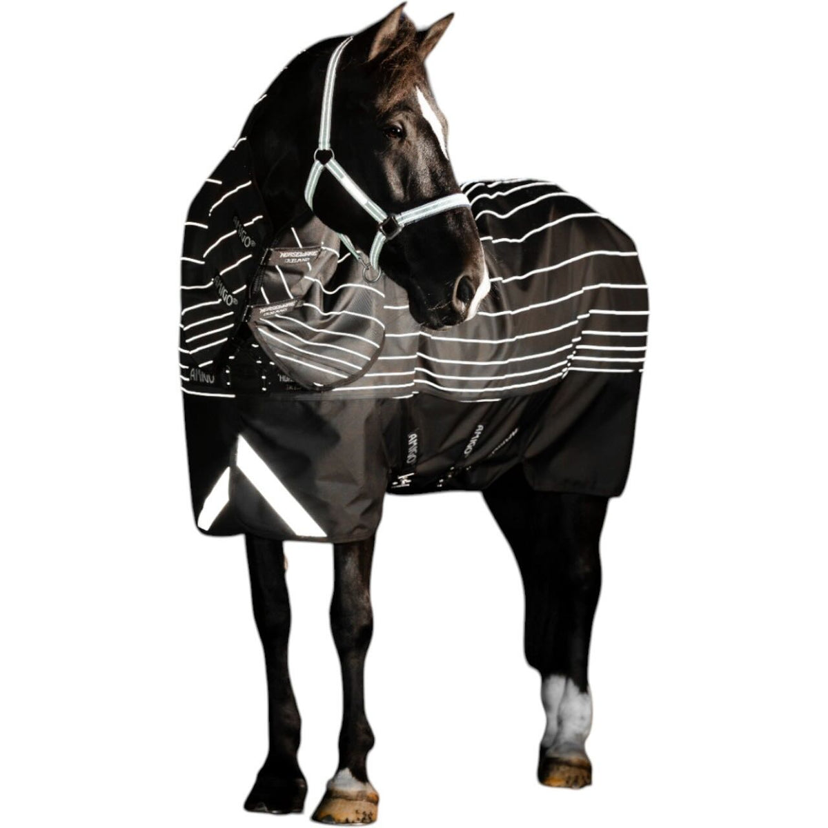 Weidedecke Amigo 0g 1200D Field Safe Reflectech Plus Turnout Decke, Black/Reflective&black, Pferd trägt die Decke.
