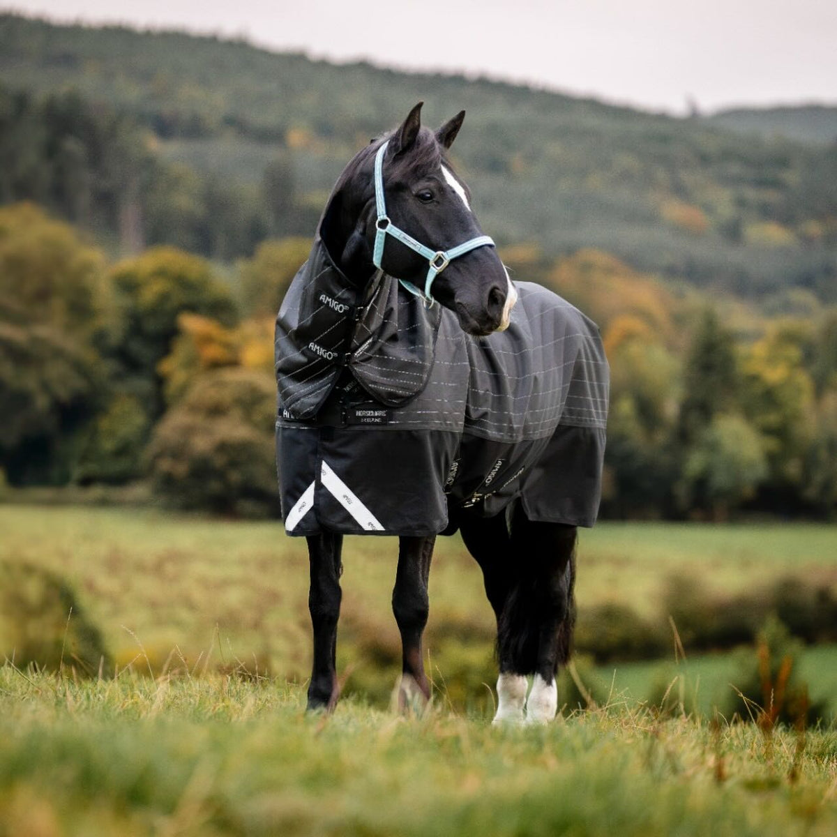 Horseware Ireland Weidedecke Amigo 0g 1200D Field Safe Reflectech Plus Turnout Decke, schwarzes Pferd auf der Weide.