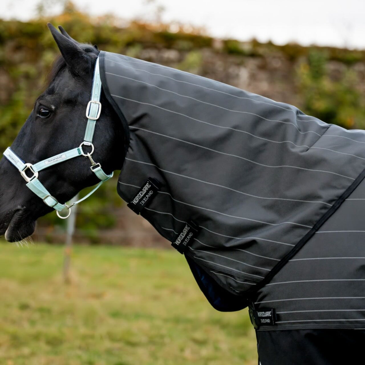 Weidedecke Amigo 0g 1200D Field Safe Reflectech Plus Turnout Decke, Schwarz, Pferd trägt die Decke im Freien.