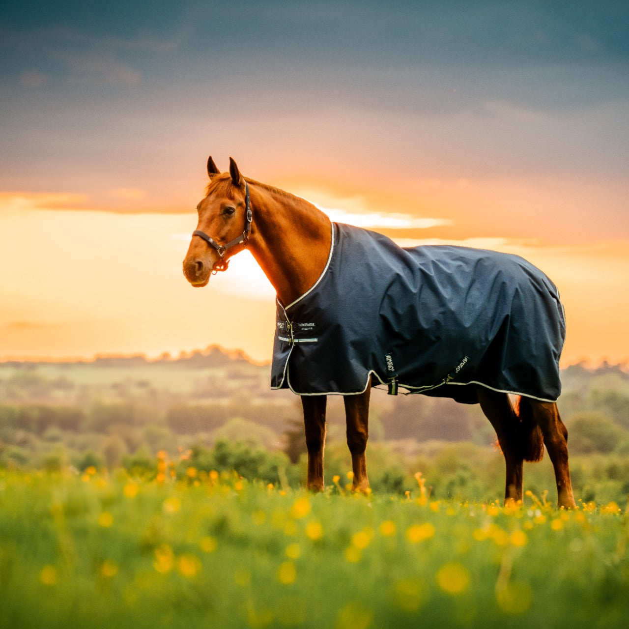 Weidedecke Amigo 0g Ripstop 900D Turnout Decke