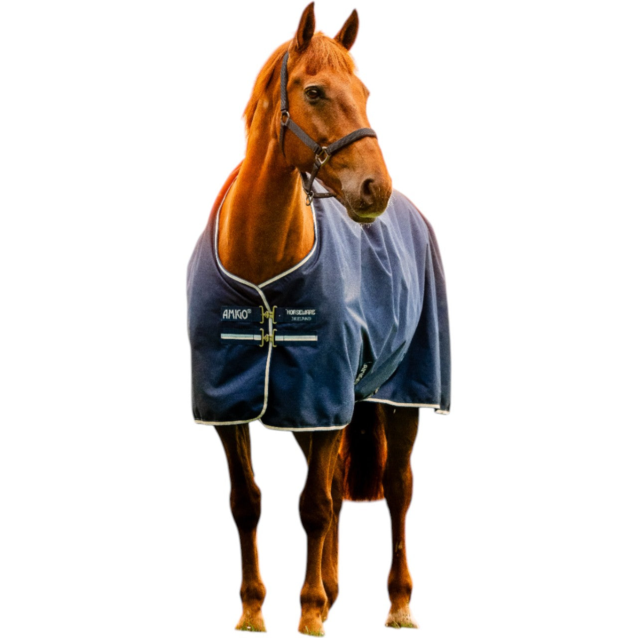 Weidedecke Amigo 0g Ripstop 900D Turnout Decke