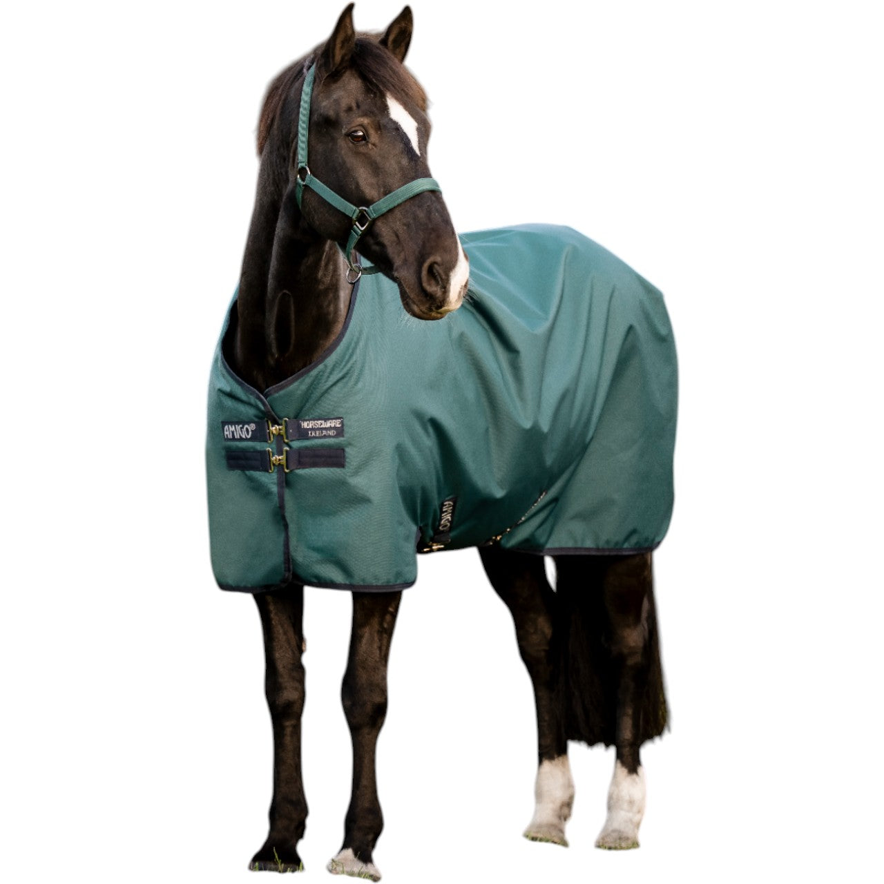 Weidedecke Amigo 0g Ripstop 900D Turnout Decke
