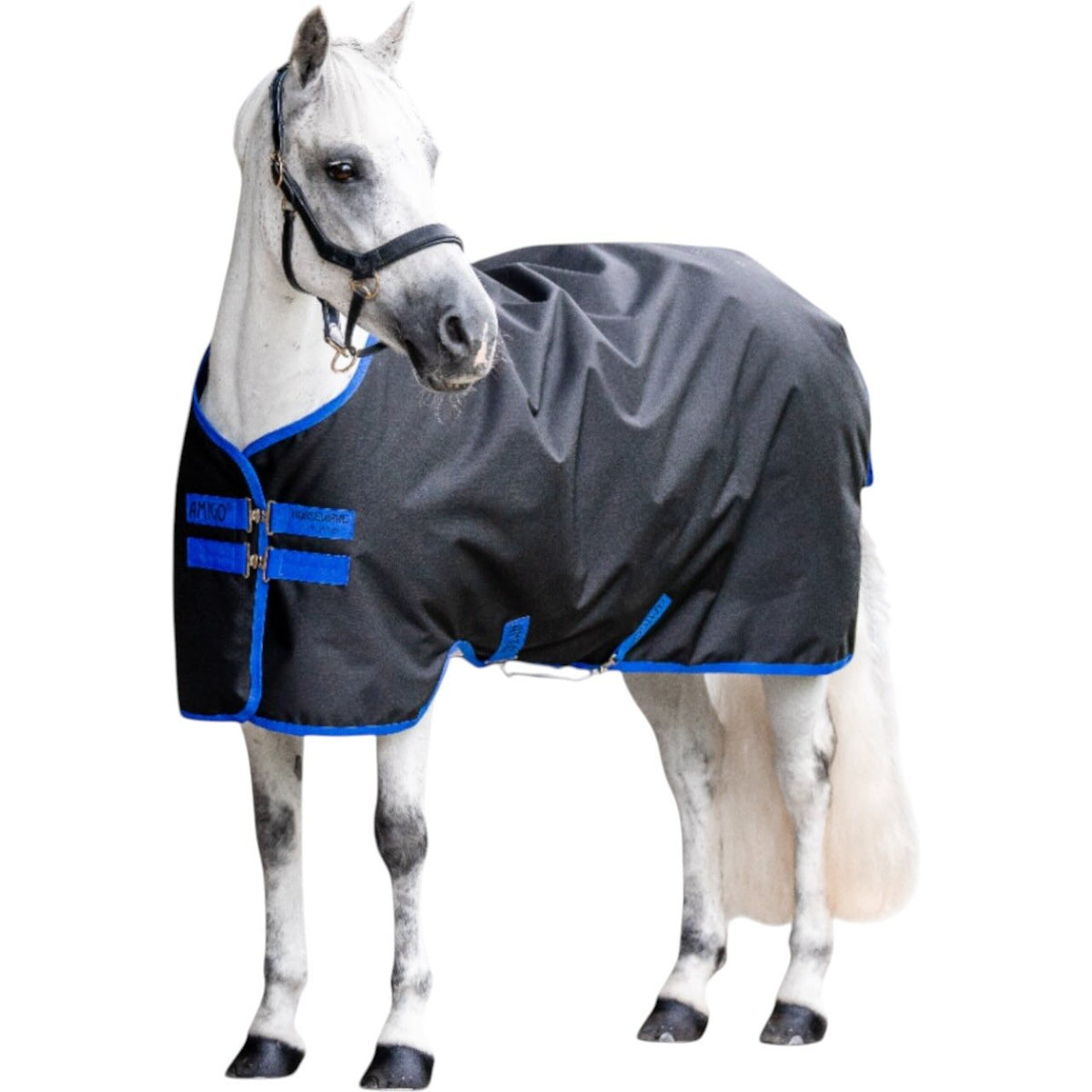 Horseware Ireland Weidedecke Amigo 50g Ripstop 900D Turnout Decke, Black/Classic Blue, Pferd trägt die Decke.