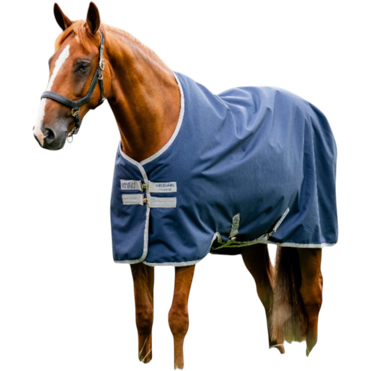 Weidedecke Amigo 50g Ripstop 900D Turnout Decke, Navy/Titanium Grey, am Pferd.