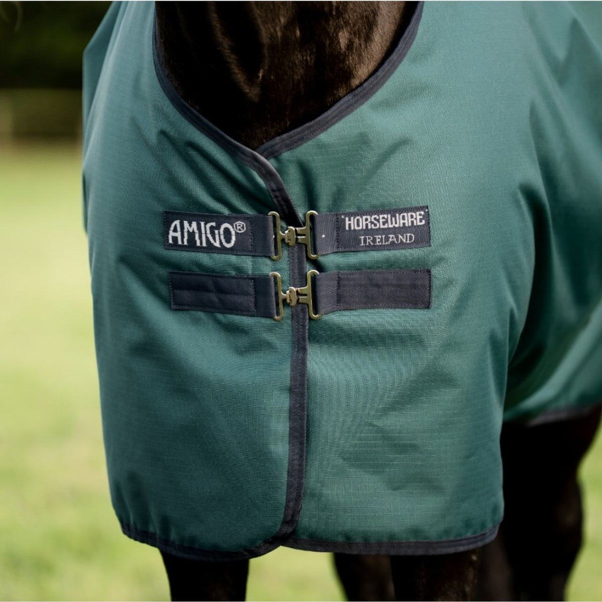 Horseware Ireland Weidedecke Amigo 50g Ripstop 900D Turnout Decke, Grün, am Pferd getragen.