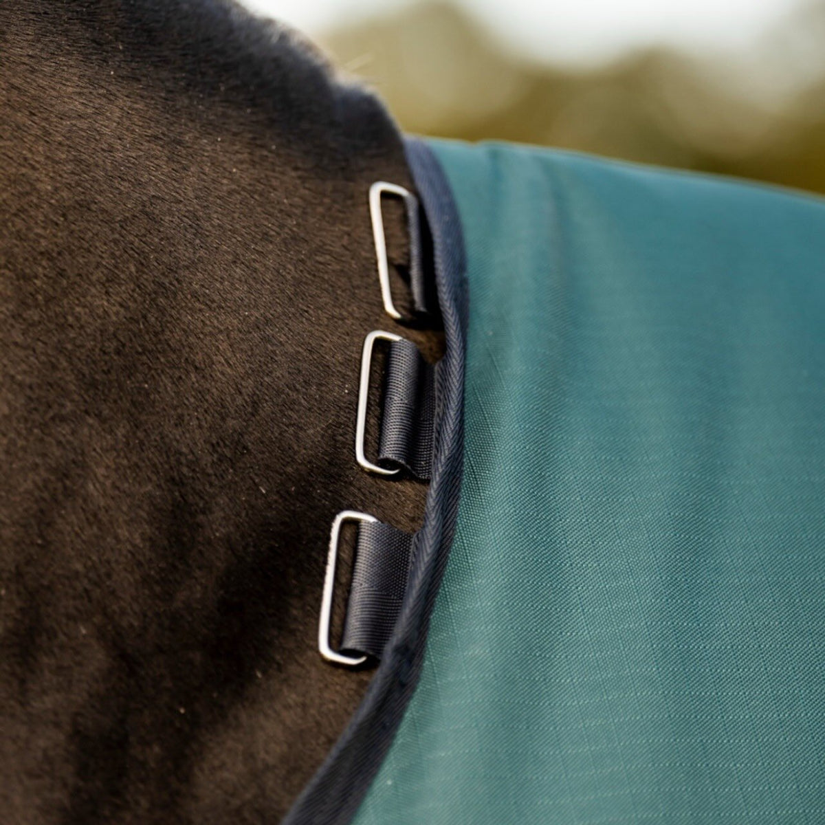 Horseware Ireland Weidedecke Amigo 50g Ripstop 900D Turnout Decke, Grün, Detailaufnahme am Pferd.