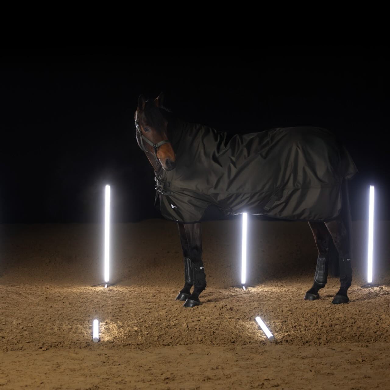 Weidedecke Beta 1680D 150g Dynamic 2025 Turnout Rug