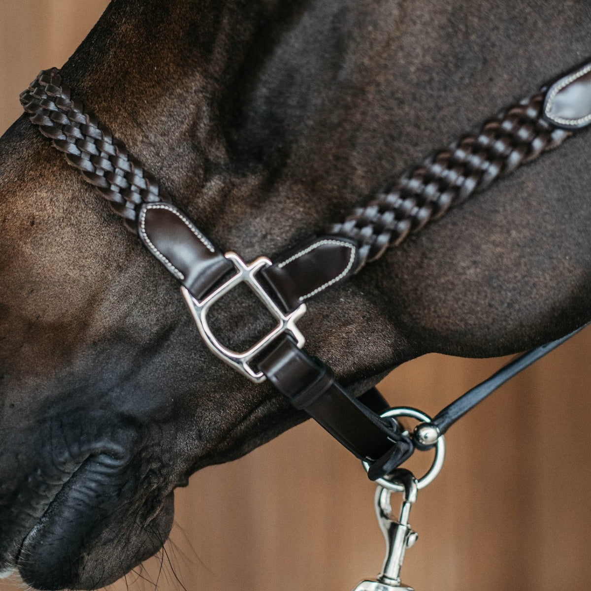Lederhalfter Plaited