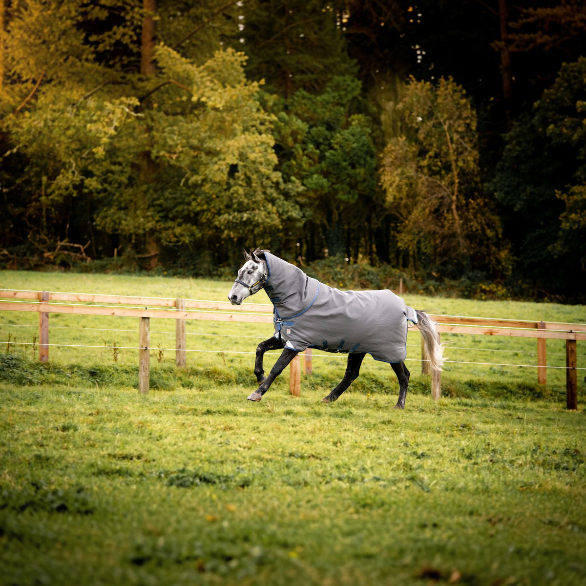 Weidedecke Rhino HexStop Plus 100g Horseware Regendecke