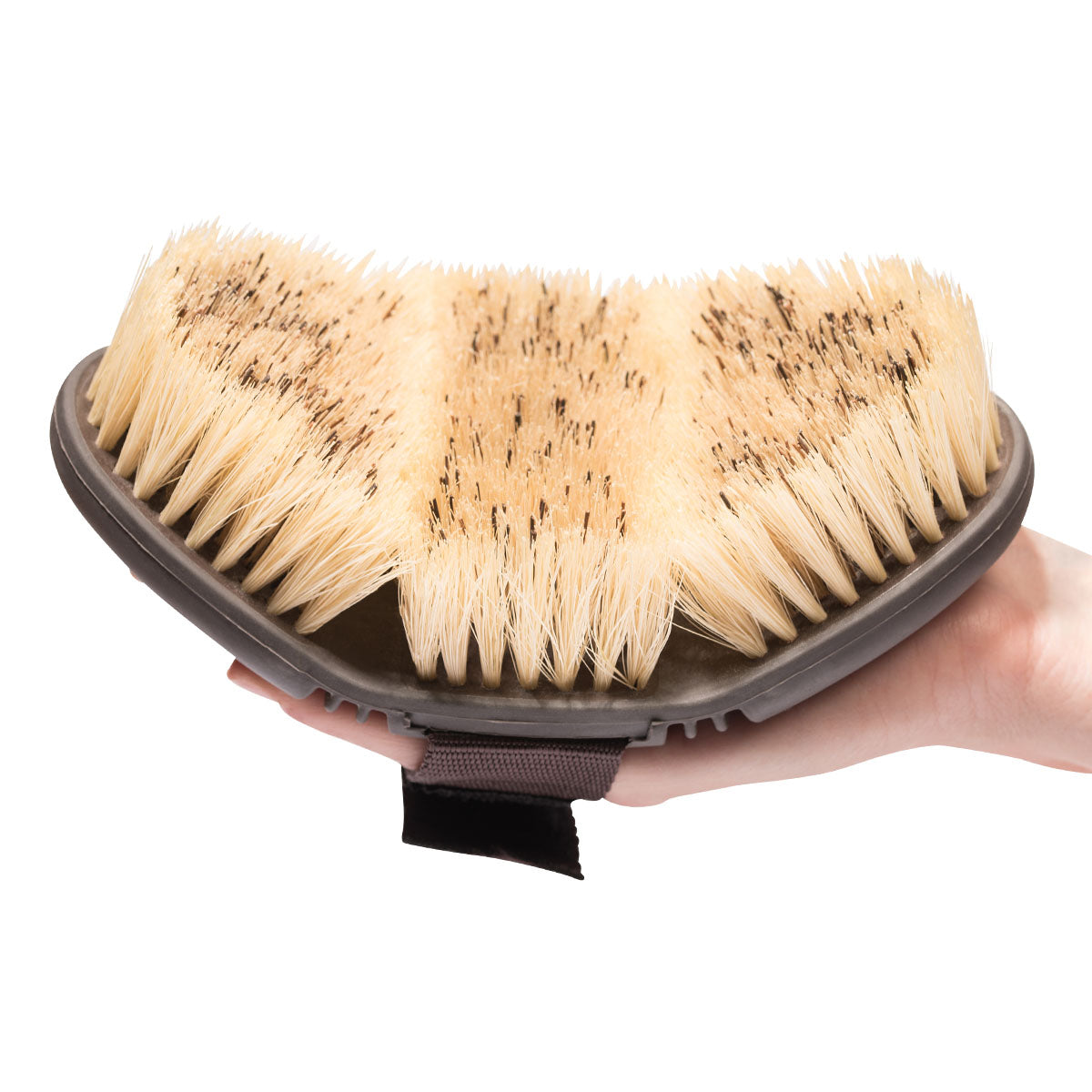 Wurzelbürste CareFlex Pferdebürste Wurzelkardätsche Naturborsten