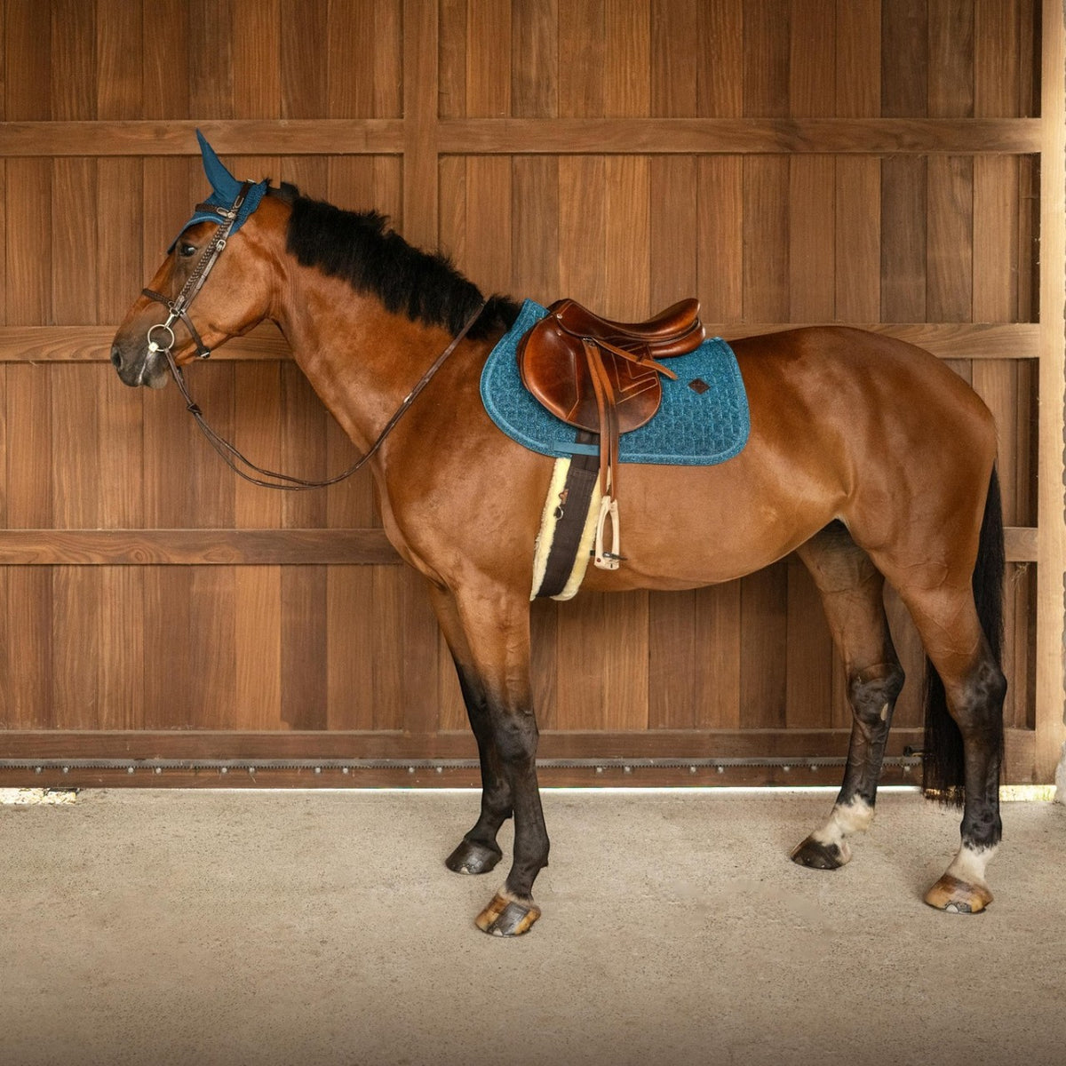 Tapis de selle d'obstacle Full Sparkling